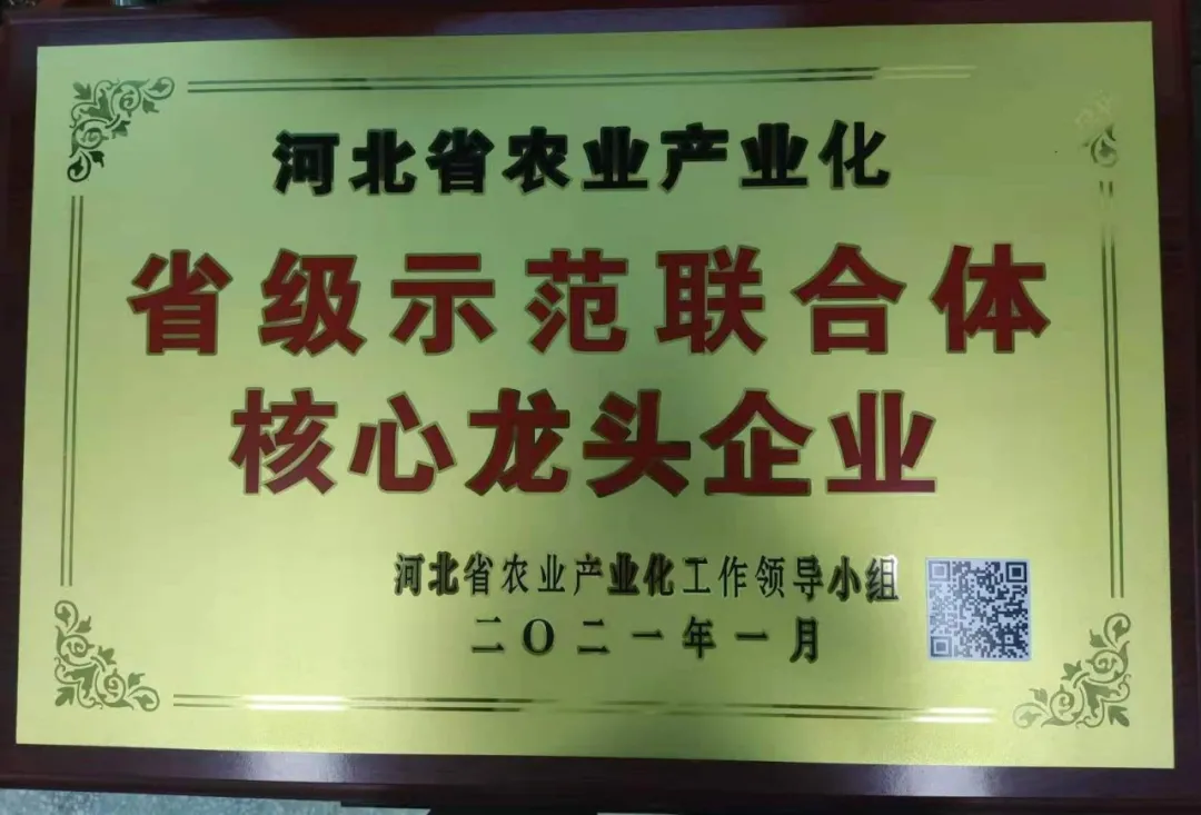 省級示范聯合體核心龍頭企業(yè)