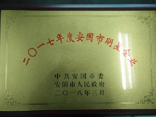 我公司被安國市委、市政府評(píng)為二〇一七年度明星企業(yè)